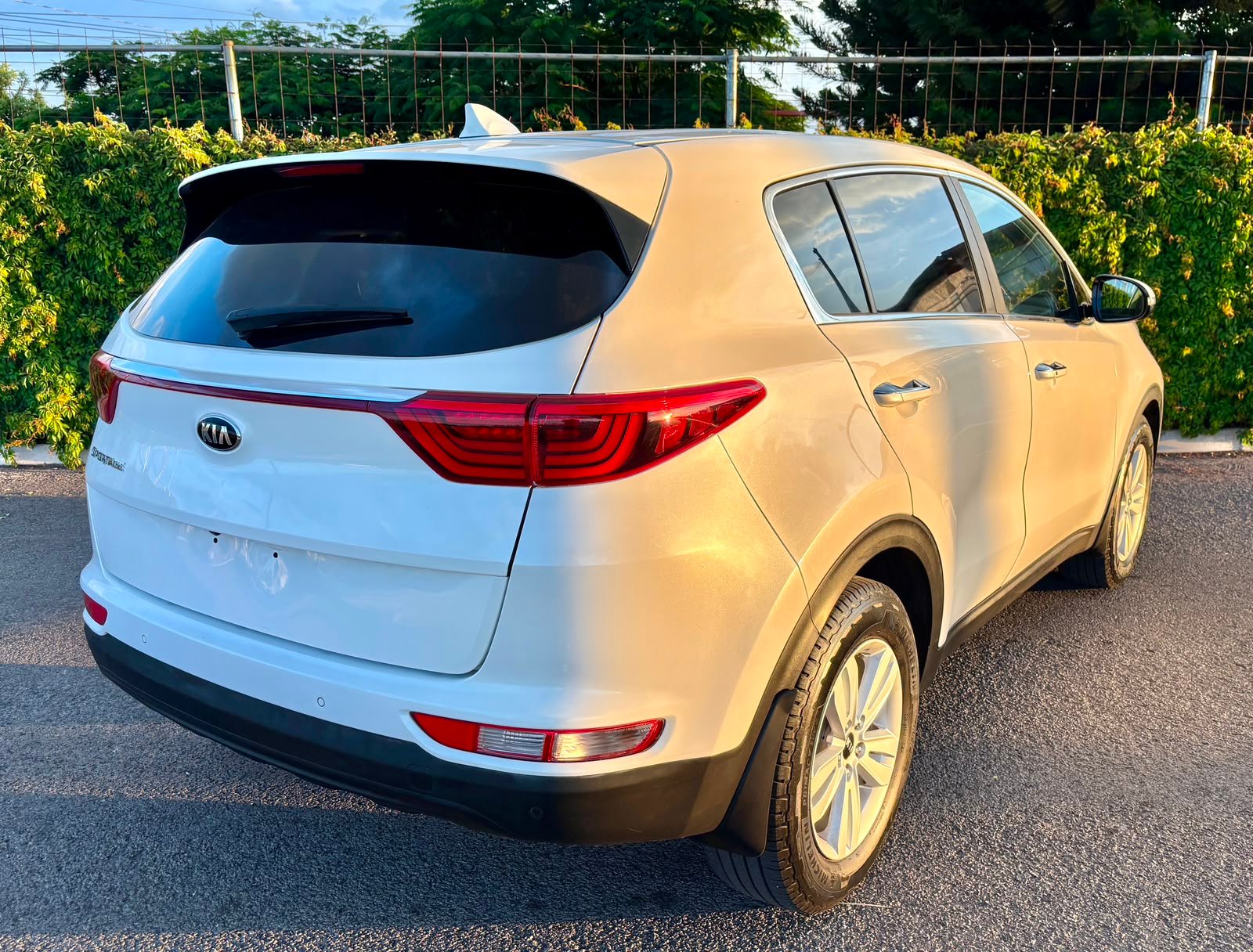 imagen_auto